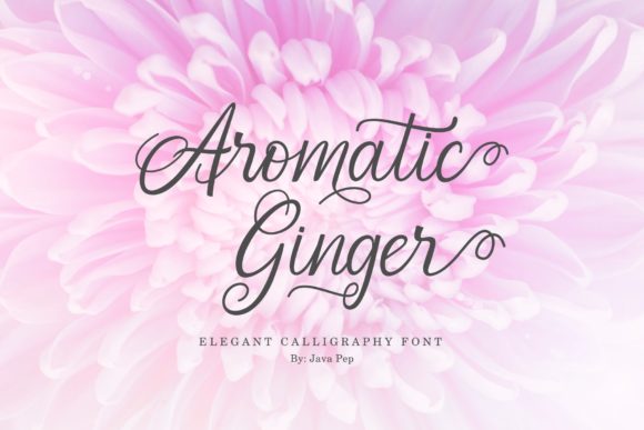 Aromatic Ginger: A Script Font for Elegant Web Design