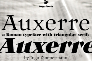 Auxerre: The Light Modern Serif Font Your Craft Projects Need