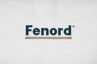 Fenord Font: A Web Designer’s Take on Bold Typography