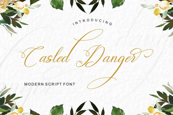 Testing Casled Danger in a Real Web Project: A Designer’s Honest Take
