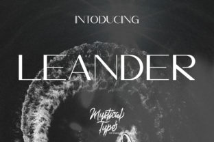 Why Leander Is the Sans Serif Font Your Small Business Brand Needs